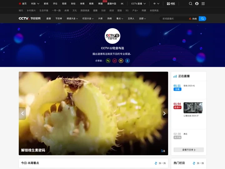 CCTV-12社会与法频道节目官网_CCTV节目官网_央视网