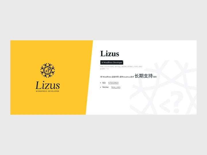 Lizus - WordPress站点长期技术支持合作
