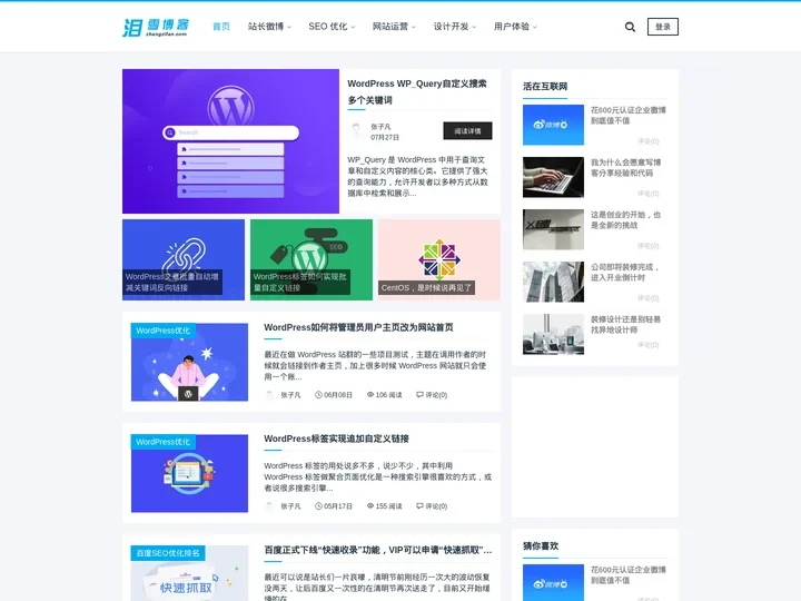泪雪博客 - 专注网站SEO优化推广及WordPress开发！