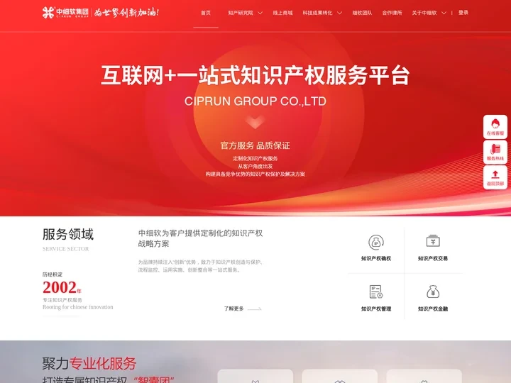 中细软知识产权_专业知识产权解决方案提供商