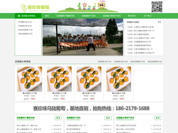 马陆葡萄网-马陆葡萄采摘攻略|新品种|礼盒装|价格多少钱一斤