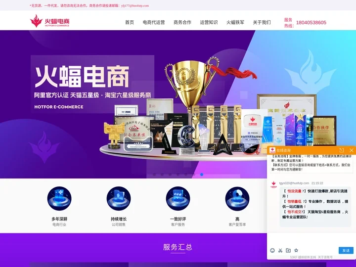 天猫代运营_淘宝代运营_正规电商代运营公司_武汉火蝠电商