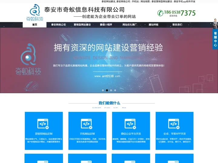 泰安网站建设_泰安做网站网络公司_奇蚁信息科技有限公司