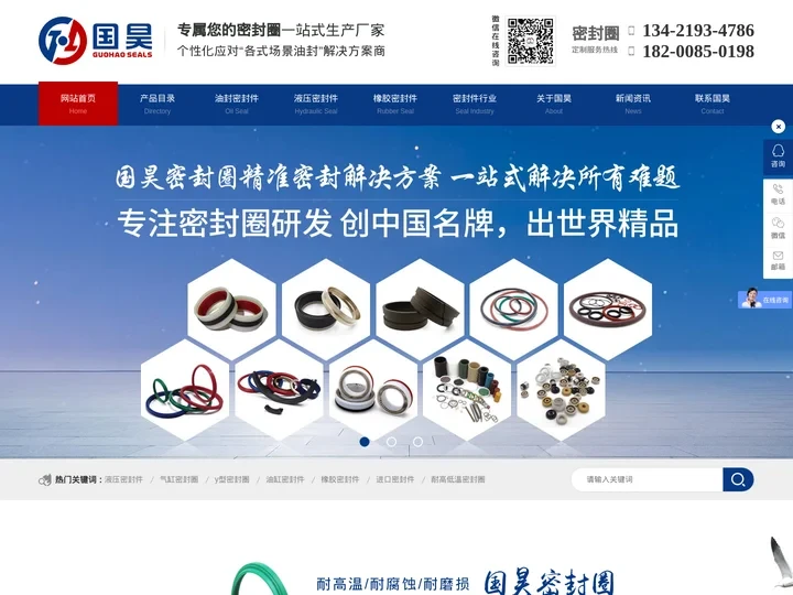 密封圈_泛塞封_格莱圈-[国昊密封圈]专注密封圈定制生产厂家