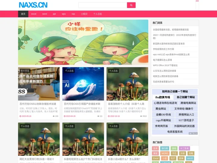 NAXS网