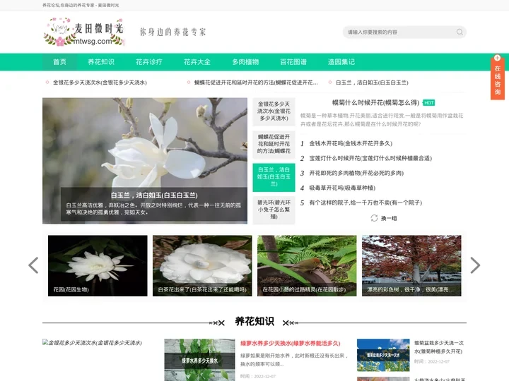 麦田微时光-您身边的养花专家