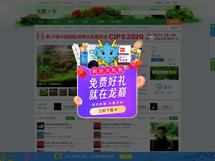 龙巅水草-水草造景-水草论坛-南美水族论坛-专业的水草玩家互动社区