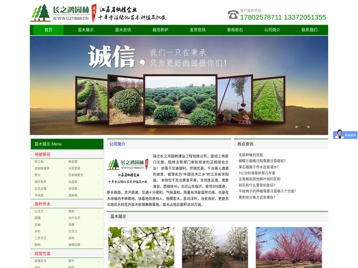 苗木价格-苗木批发-沭阳苗木基地-沭阳花木-长之鸿园林苗木场