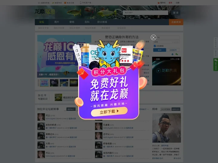 龙巅猛鱼-水虎鱼-龙巅加拉辛-专业的猛鱼玩家互动社区