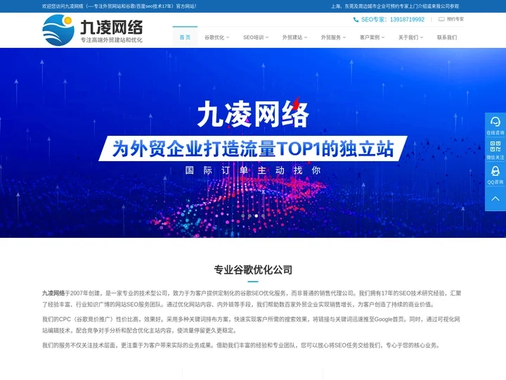 google优化，谷歌优化，谷歌推广，谷歌关键词优化，google关键词优化公司哪家好 - 九凌网络