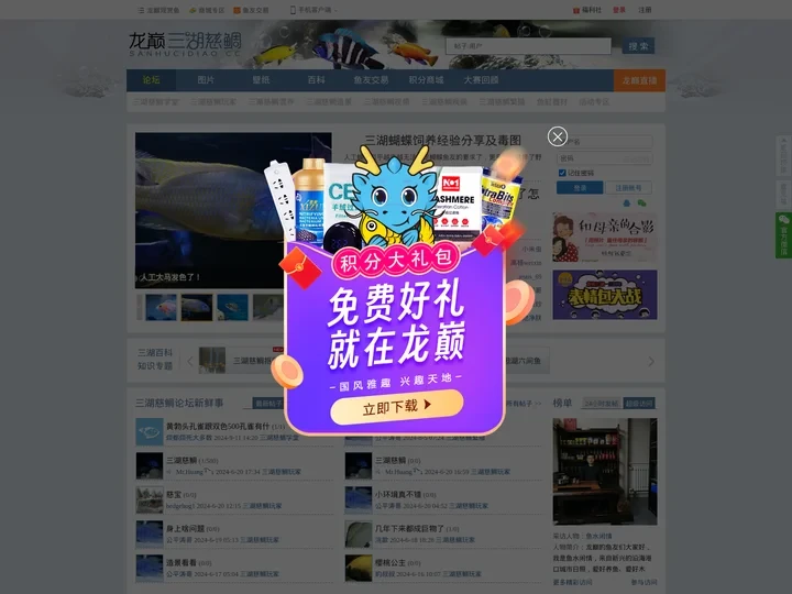 龙巅三湖慈鲷-三湖慈鲷论坛-三湖-慈鲷-专业三湖慈鲷玩家互动社区