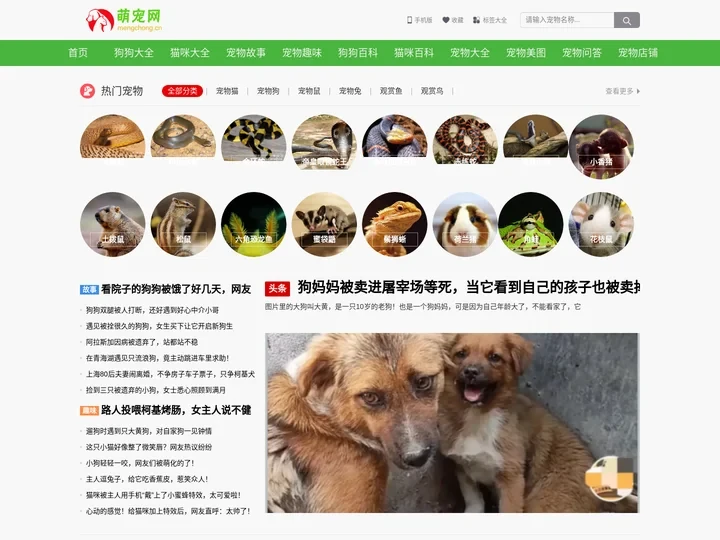 萌宠网-宠物狗,宠物猫的萌宠乐园