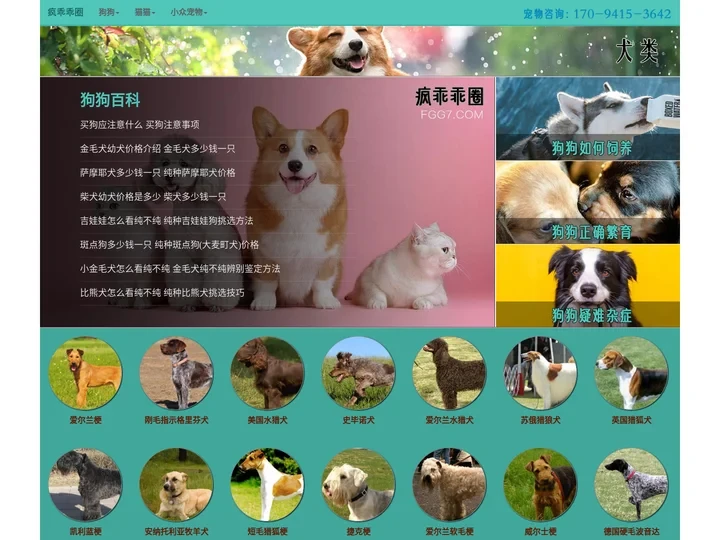 疯乖乖圈宠物网_宠物猫狗价格特点图片_专业宠物平台