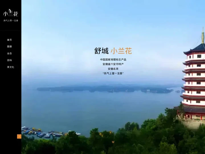 舒城小兰花茶|安徽名茶_六安特产_国家地理标志产品