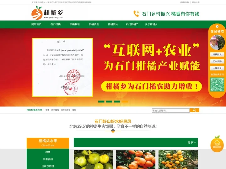 柑橘乡,石门柑橘-石门橘子红了！
