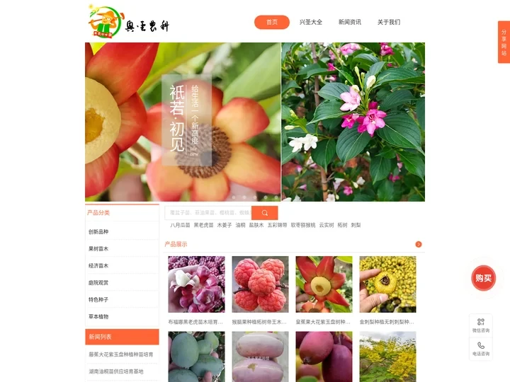 兴圣农科果树苗木景观绿化盆栽苗特色水果种植基地