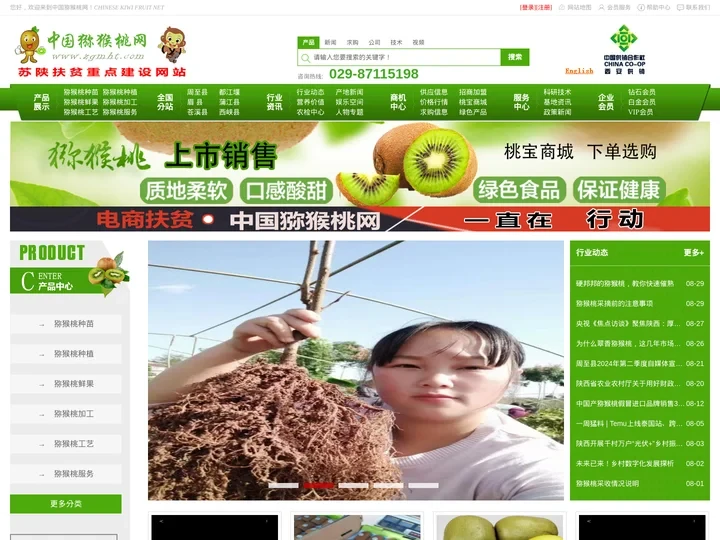 中国猕猴桃网猕猴桃采购批发与交易平台选中国猕猴桃网