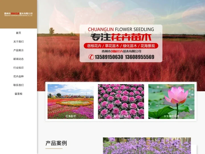 青州草花绿化苗木批发价格-冬青卫矛基地-水生植物基地-马鞭草基地-花海基地-创林花卉苗木