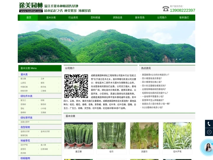 绿化苗木价格 - 常绿乔木批发 - 灌木树苗基地 - 成都途美园林绿化