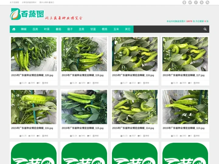 百蔬图（农科百蔬网）|免费蔬菜高清图片分享网站