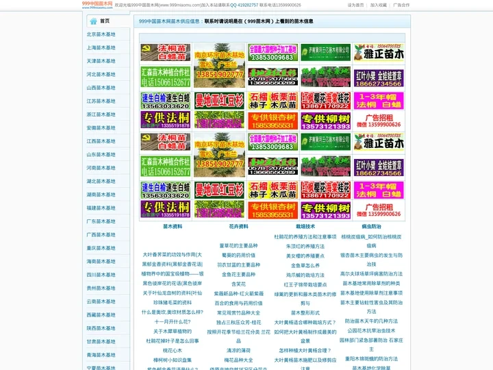 中国苗木网-园林绿化苗木价格信息网|苗木基地销售供应报价|苗木求购