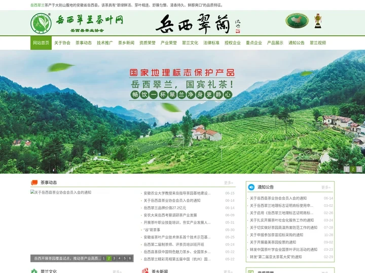 岳西翠兰茶叶网