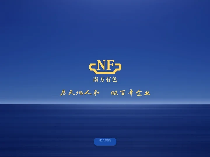 广西南丹南方金属集团