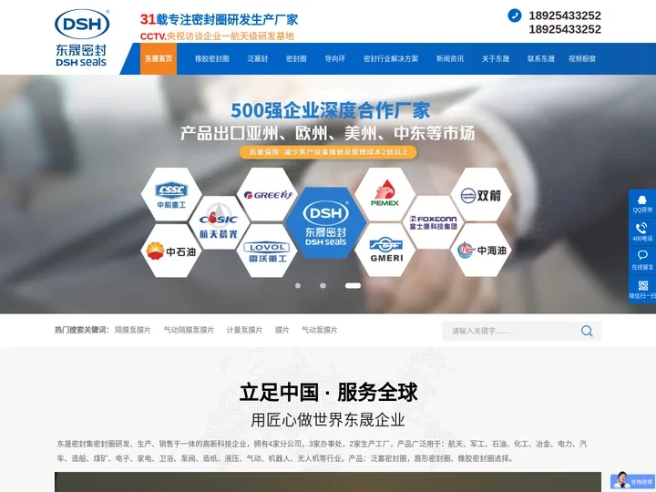 泛塞密封圈-唇形密封圈-橡胶密封圈厂家-广东东晟密封圈