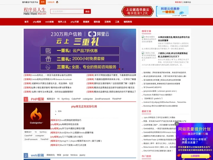 程序员人生-国内最全IT社区平台