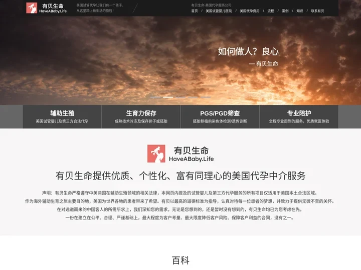 美国代孕公司-试管婴儿-富有同理心的代孕中介机构 - 有贝