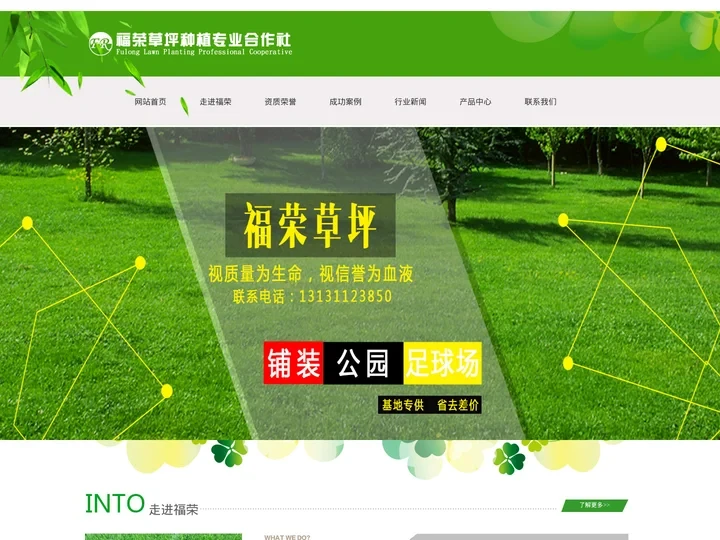 绿化草坪,高羊茅草坪,早熟禾草坪-栾城区福荣草坪种植合作社