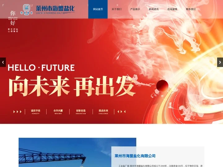 工业盐,融雪盐,日晒盐-莱州市海盟盐化有限公司