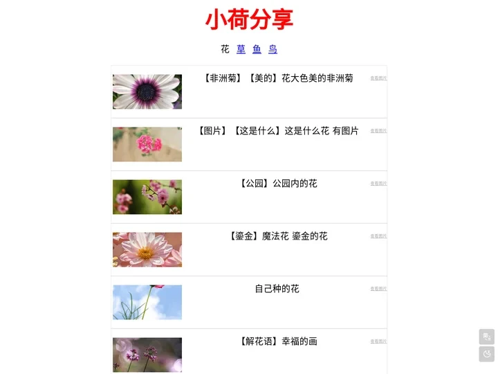 小荷分享