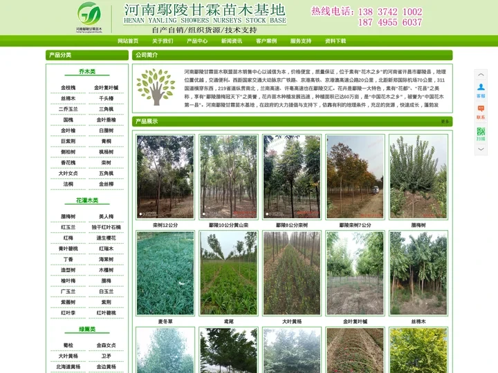河南鄢陵甘霖苗木基地