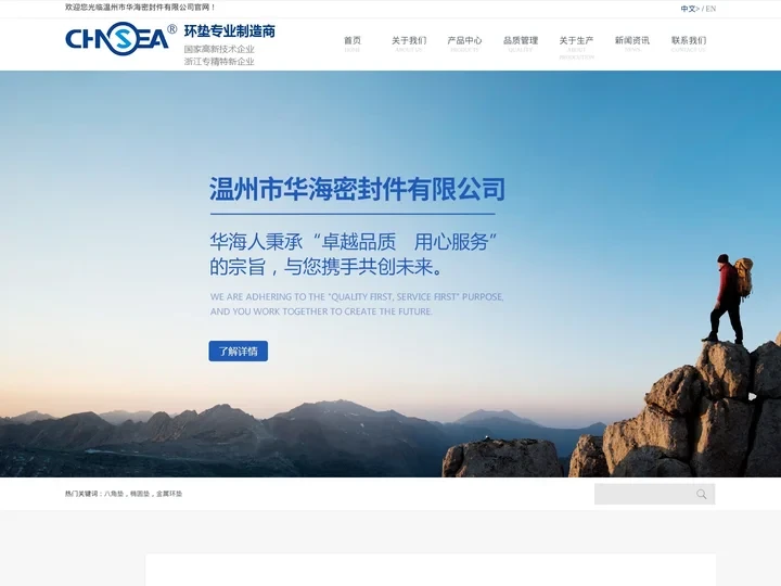 八角垫,椭圆垫,金属环垫-温州市华海密封件有限公司