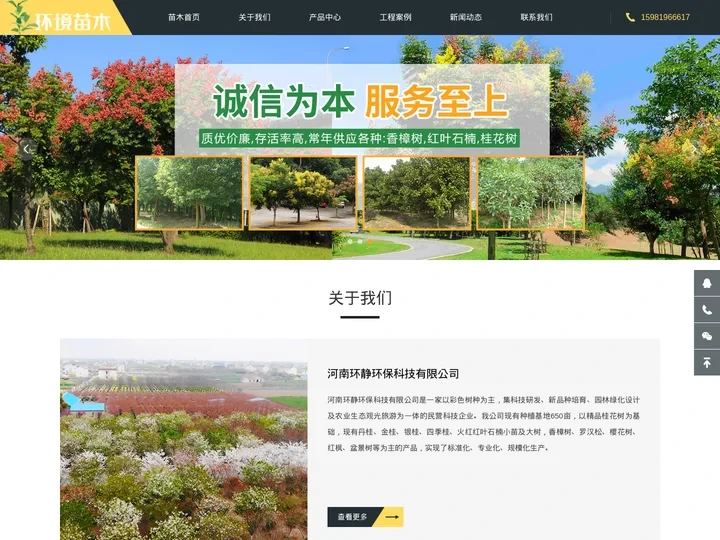 绿化苗木_桂花树_香樟树_红叶石楠_环静苗木有限公司