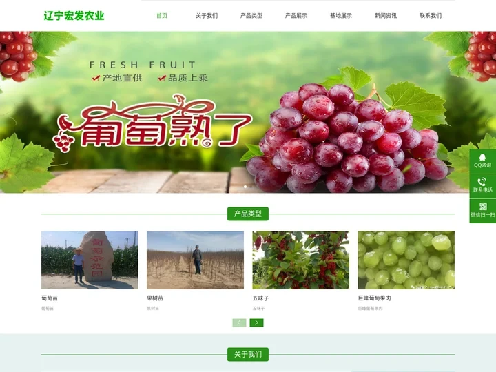 葡萄苗_葡萄_人参_鹿茸_山枣_酸枣仁_五味子_中药材_果树苗