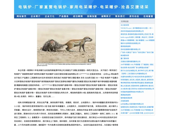 电锅炉-厂家直营电锅炉-家用电采暖炉-电采暖炉-沧县艾捷诺采暖设备有限公司
