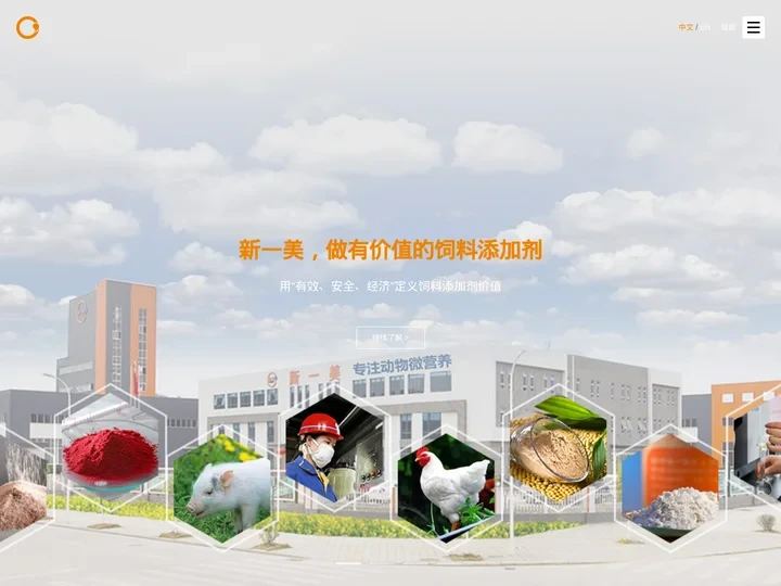 绵阳市新一美化工有限公司