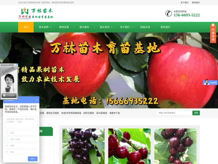 矮化樱桃苗_蓝莓苗价格_梨树苗批发_李子树苗_万林农业基地