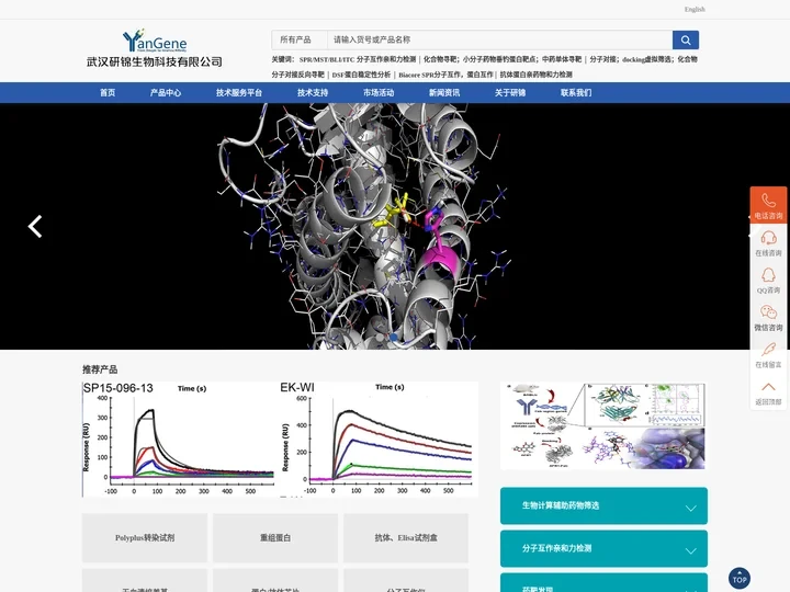 MST亲和力检测-DSF蛋白稳定性分析-SPR分子互作亲和力检测-化合物分子对接反向寻靶-武汉研锦生物科技有限公司