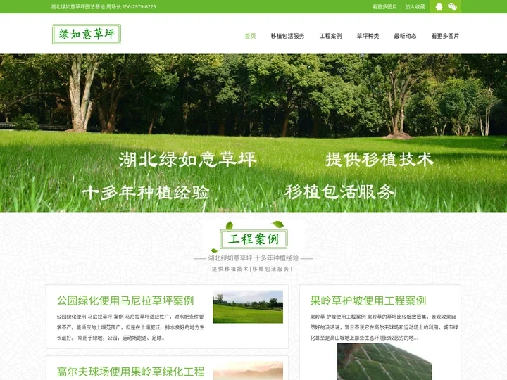 马尼拉草坪多少钱一方一平米_果岭草草坪价格★武汉绿如意★宜昌草皮基地还有孝感百慕大、黄石台湾青