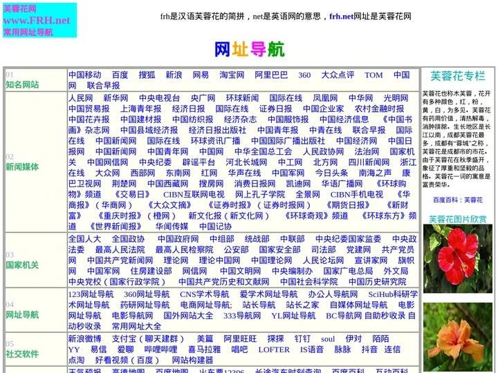 芙蓉花