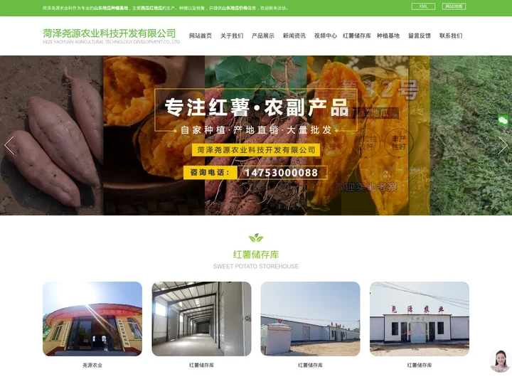 西瓜红地瓜_山东地瓜价格_地瓜种植基地-菏泽尧源农业科技公司