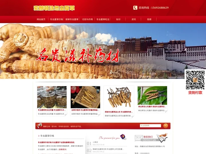 冬虫夏草的功效与作用及食用方法_那曲虫草价格_索朗顿珠冬虫夏草