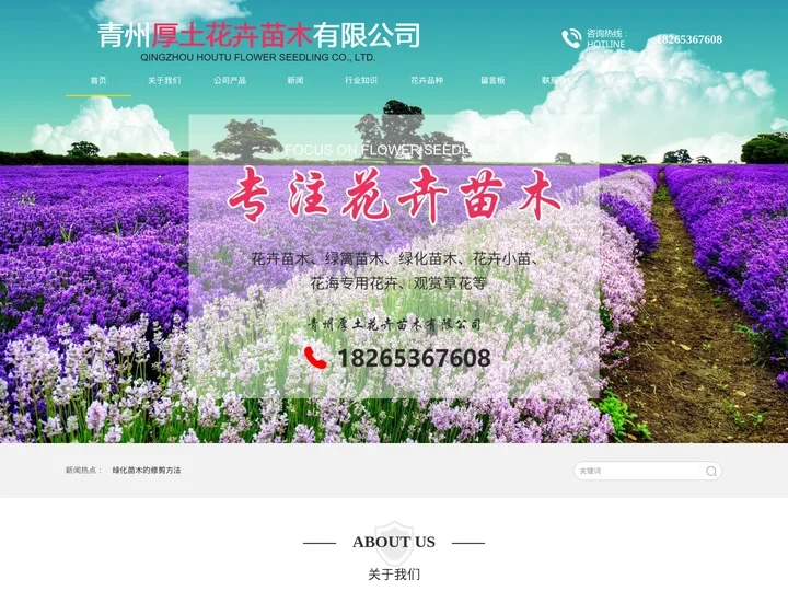 花海专用花卉_绿篱苗木_观赏草花_月季花苗_芝樱小苗_青州厚土绿化苗木