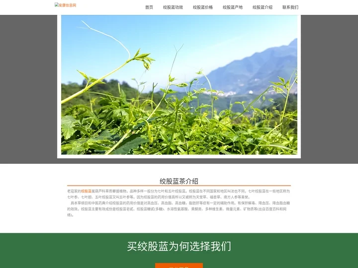 安康信息网-老寇家绞股蓝,绞股蓝龙须茶,平利绞股蓝,正宗原产地绞股蓝茶