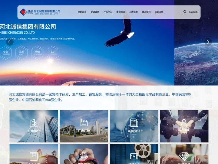 河北诚信集团有限公司_主营业务氰化钠、黄血盐钠、三聚氯氰、酯类