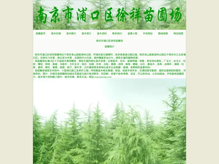 南京苗圃_供应雪松等多种绿化苗木_南京市浦口区徐祥苗圃场