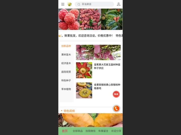 特色农业果树经济苗木种植盆栽绿化苗基地 - 特色果树苗木基地